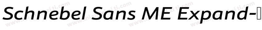 Schnebel Sans ME Expand字体转换